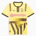 24-25 Borussia Dortmund Mens Cup Soccer Jersey 