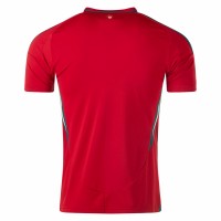 24-25 Wales Mens Home Jersey